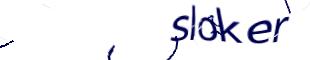 Captcha Herausforderung Bild